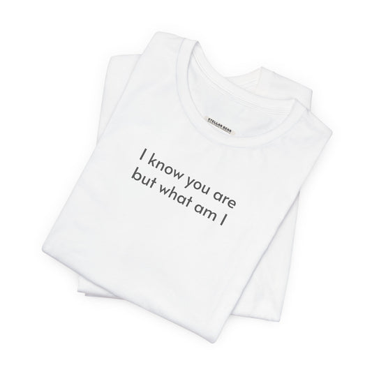 I Know You Are But What Am I T-Shirt