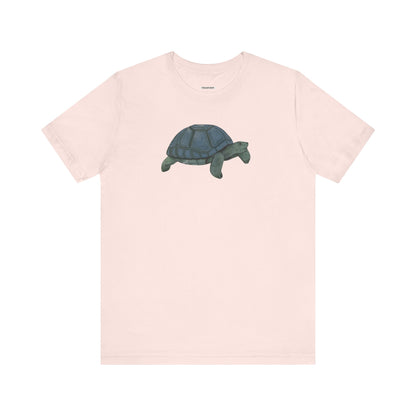 Tortoise Graphic T-Shirt