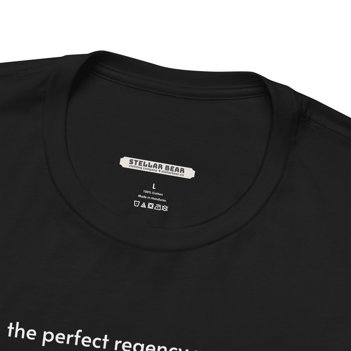 The Perfect Regency Man Checklist T-Shirt (Jane Austen)