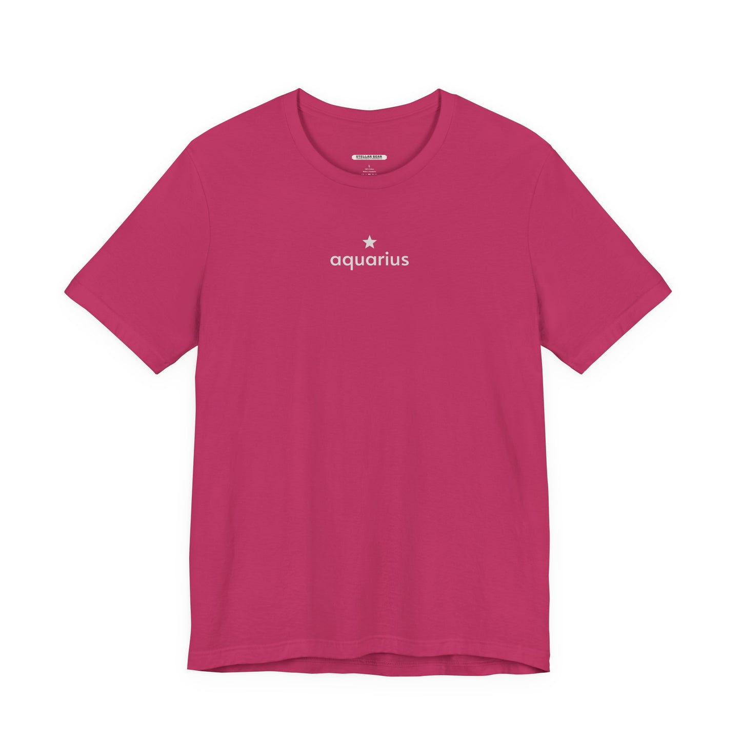 Aquarius Minimalist Style T-Shirt