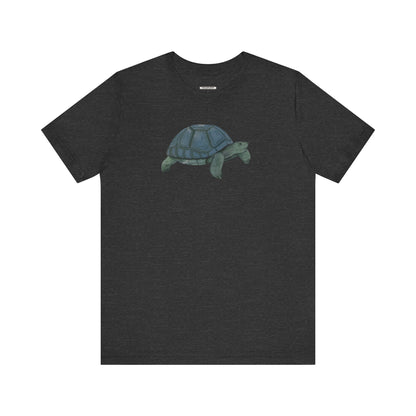 Tortoise Graphic T-Shirt