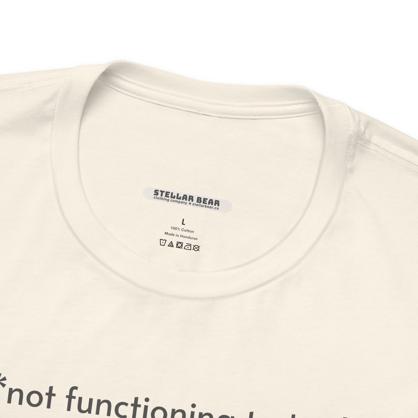 Not Functioning Today, Try Again Tomorrow Minimalist Style T-Shirt