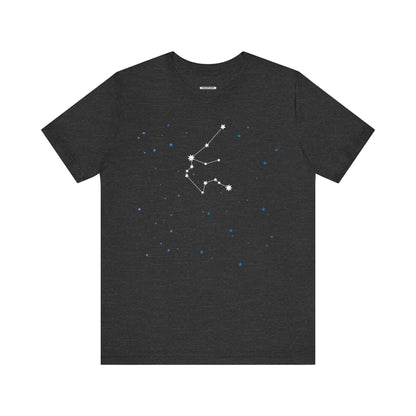 Aquarius Constellation Graphic T-Shirt