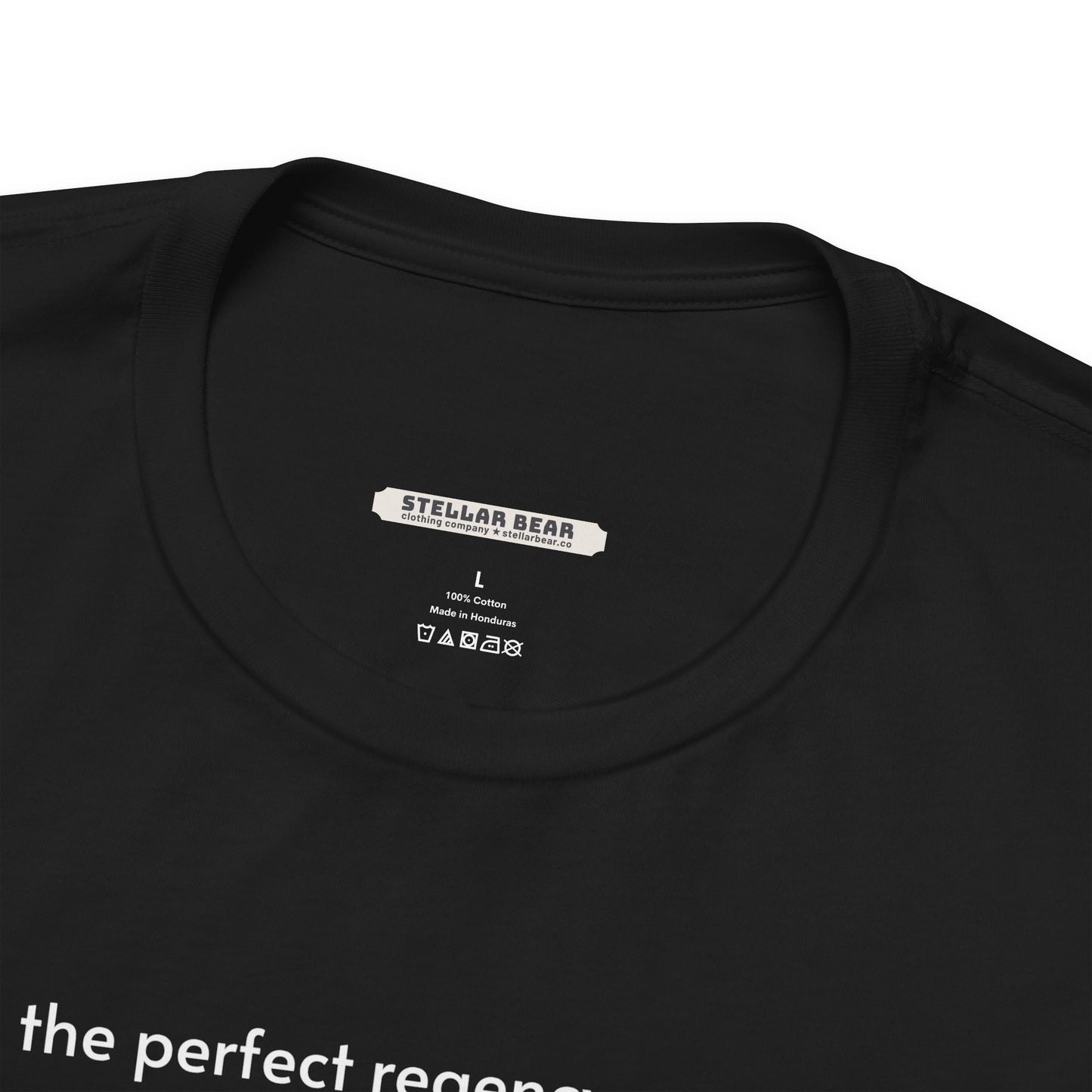 The Perfect Regency Woman Checklist T-Shirt (Jane Austen)
