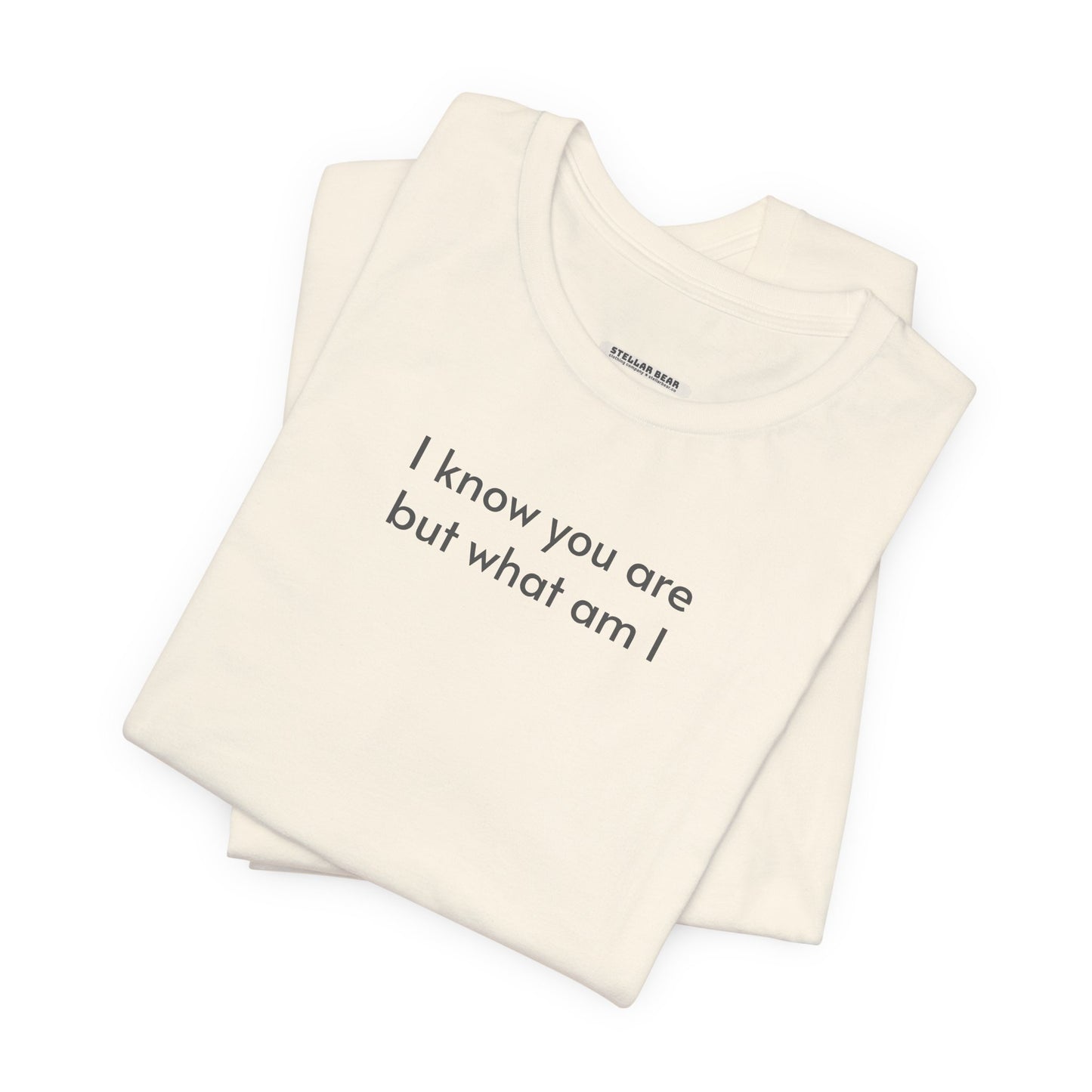 I Know You Are But What Am I T-Shirt