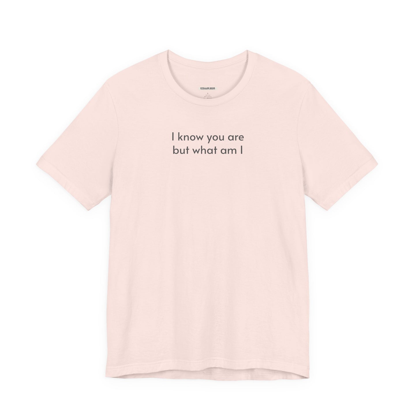 I Know You Are But What Am I T-Shirt