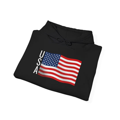 USA Flag Graphic Hoodie