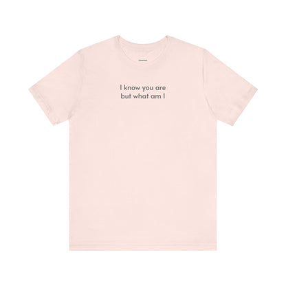 I Know You Are But What Am I T-Shirt